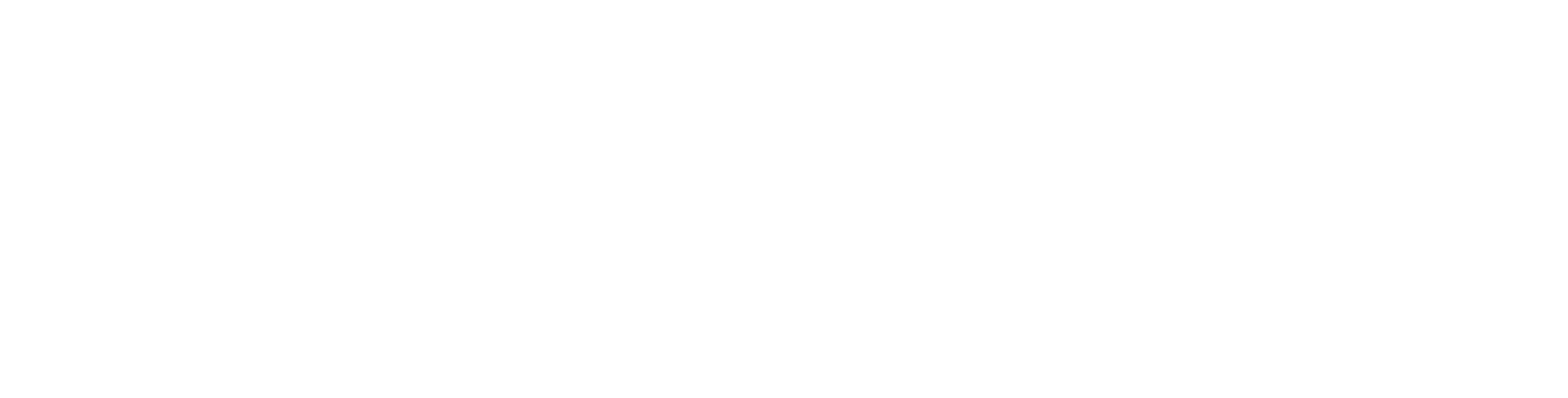 Fidibeki